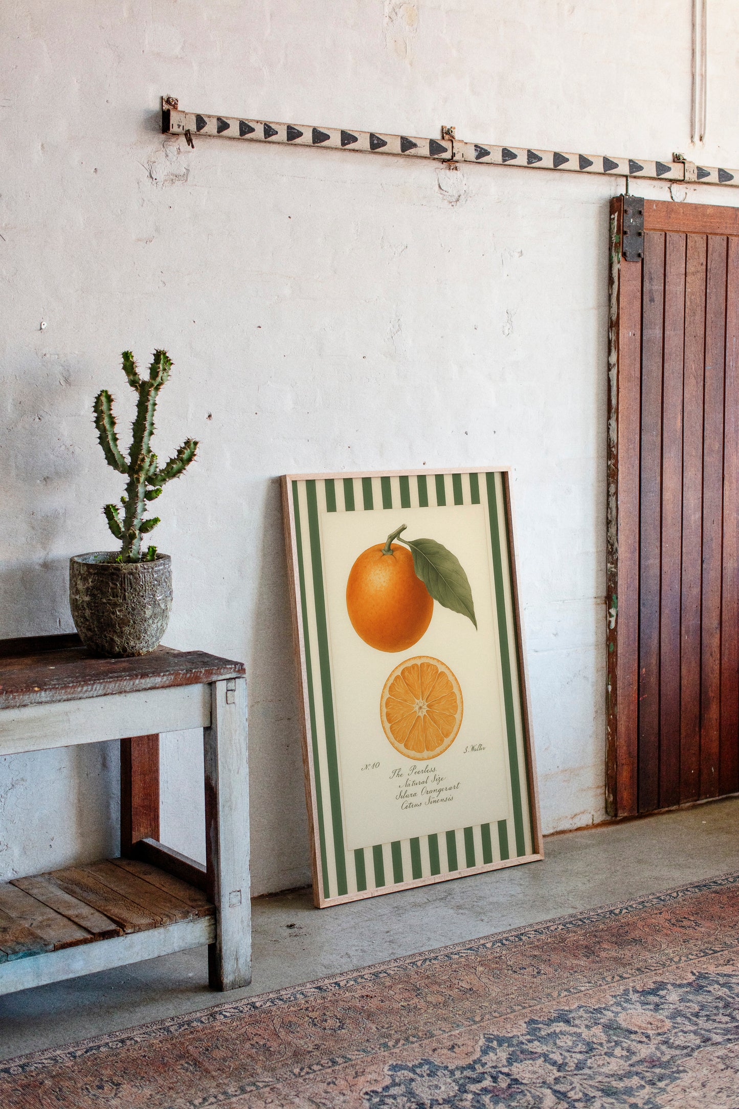 Vintage Orange Slice Botanical Study