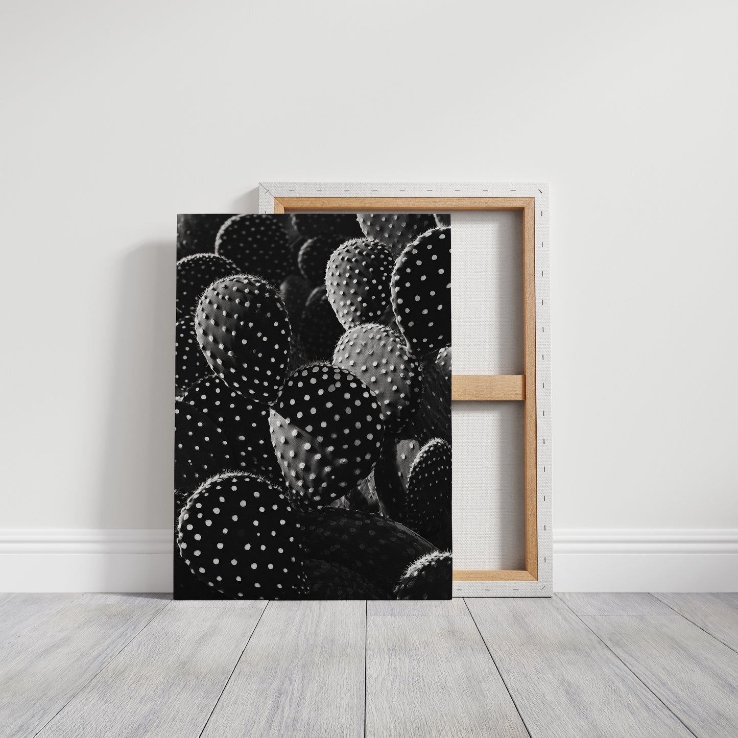 Desert Geometry in Monochrome