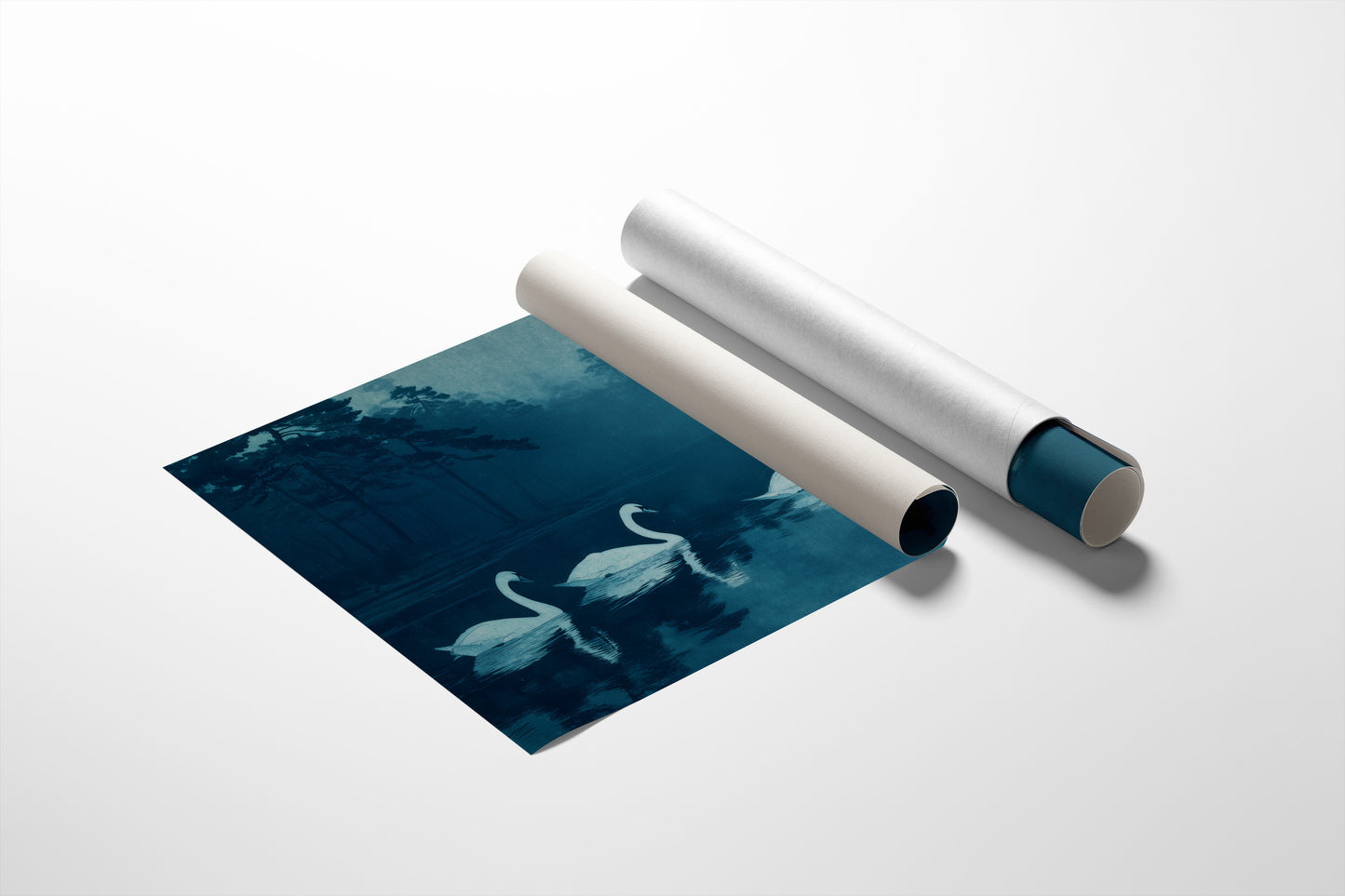 Swans Beneath the Midnight Mist