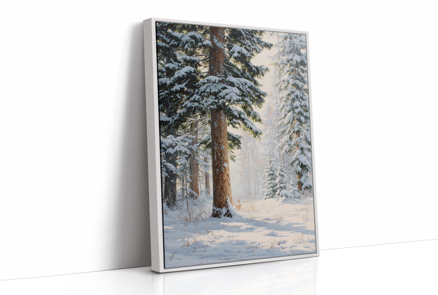 Snow Dusts Ancient Forest Paths