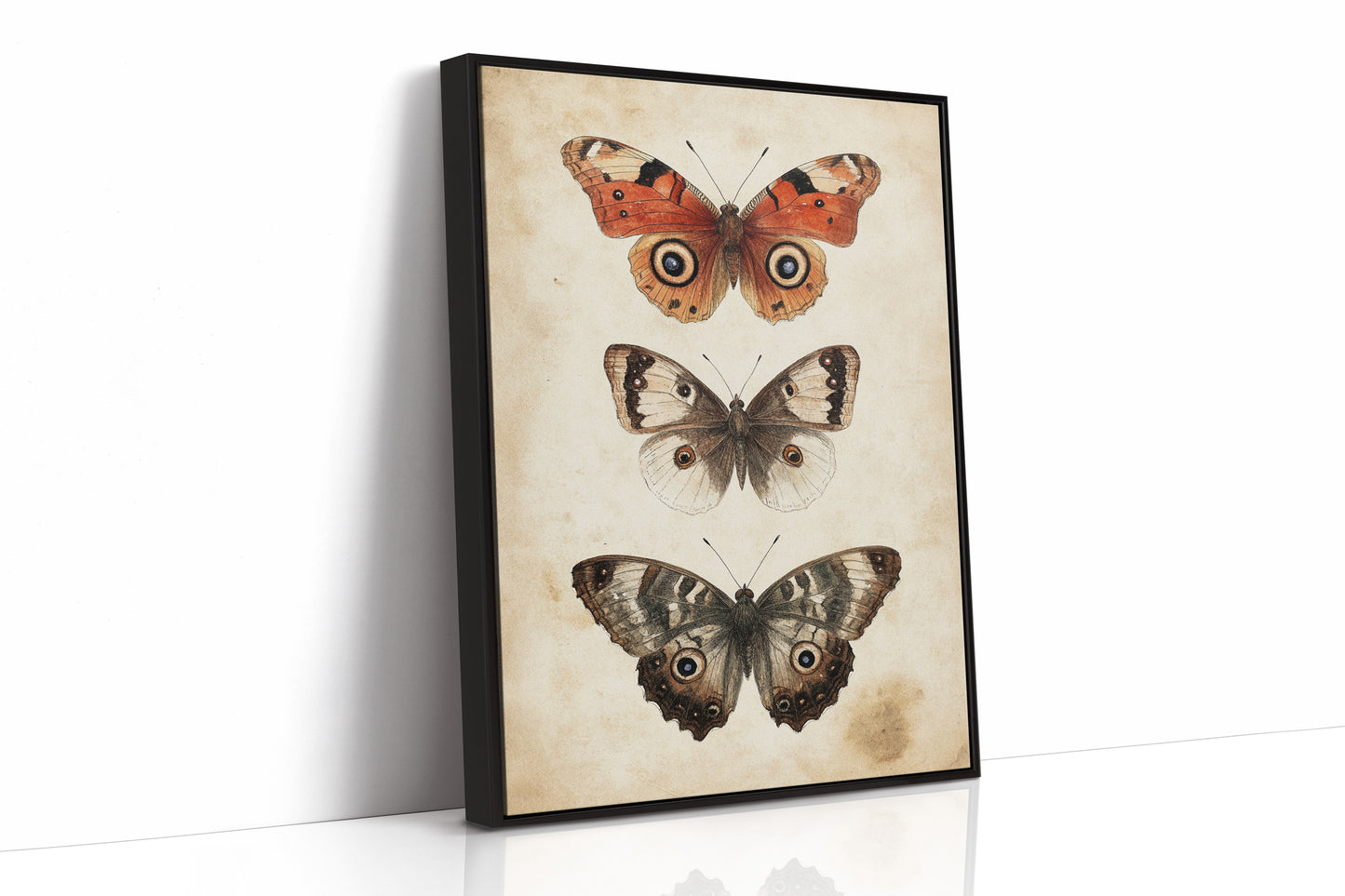 A Tapestry of Winged Wonders