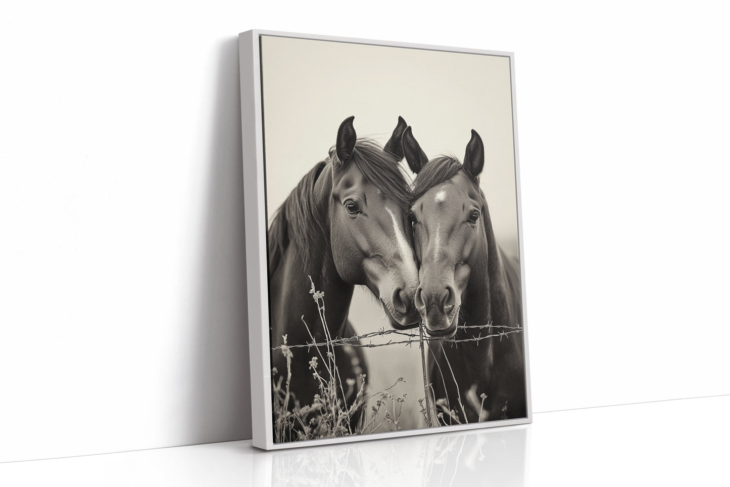 Close Companions at the Fence Line