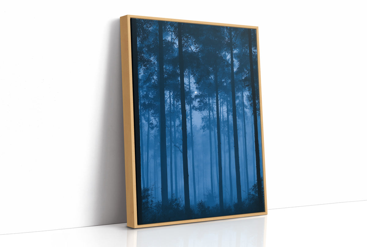 Moonrise Through the Pines
