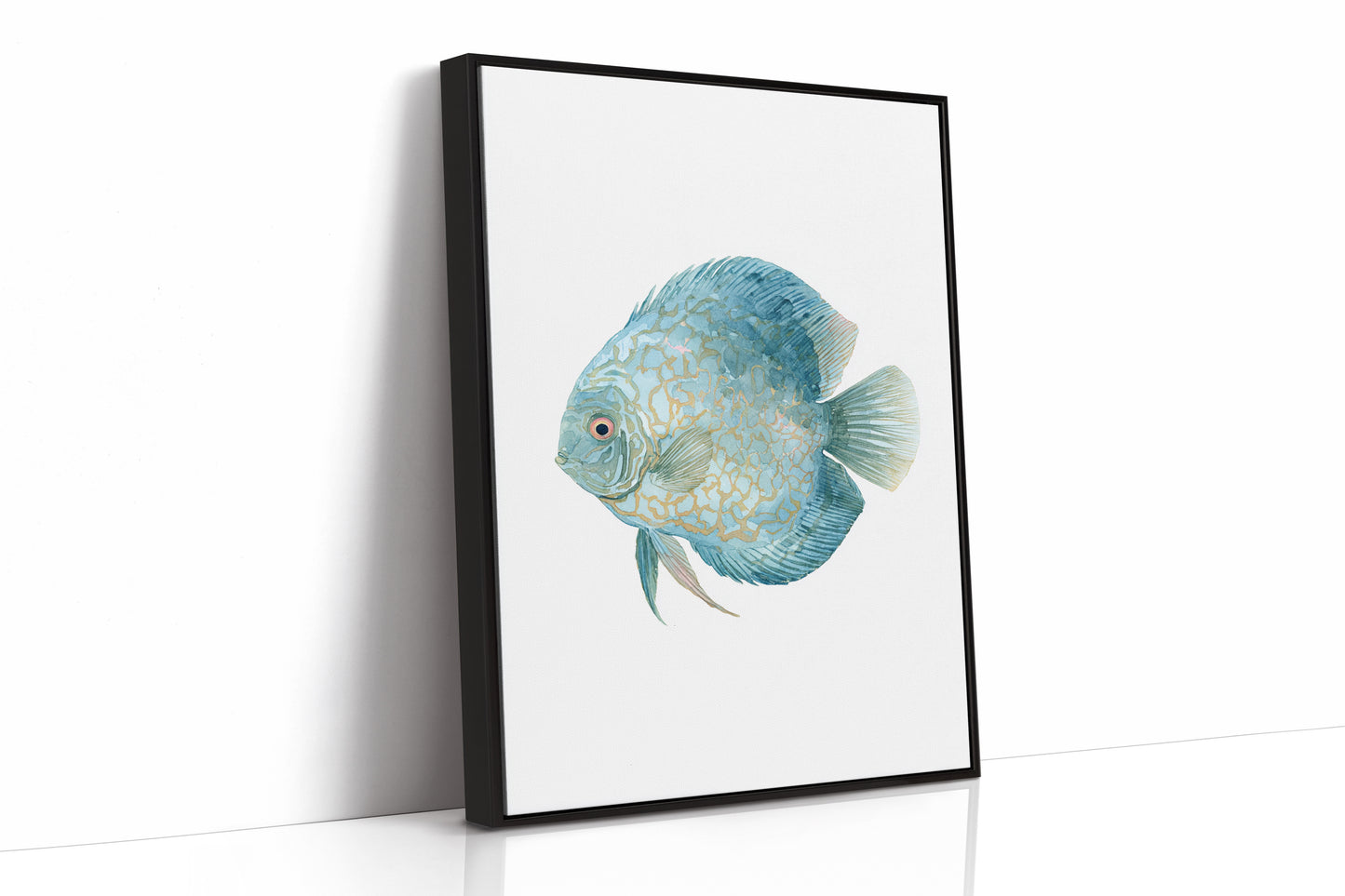 Beneath The Coral Veil