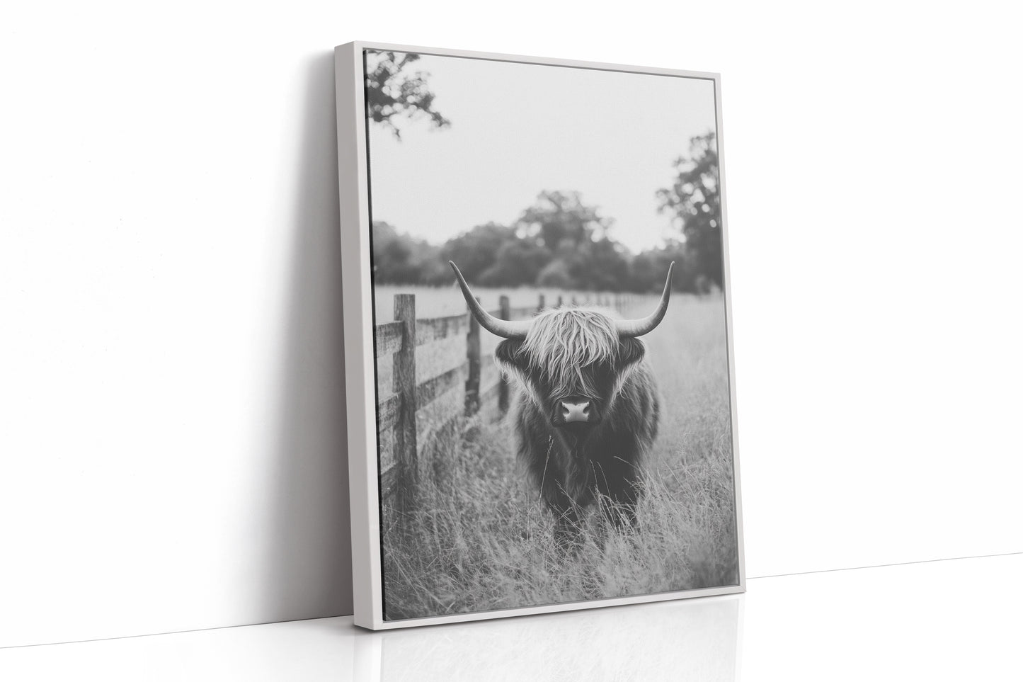 Highland Gaze in Black and White