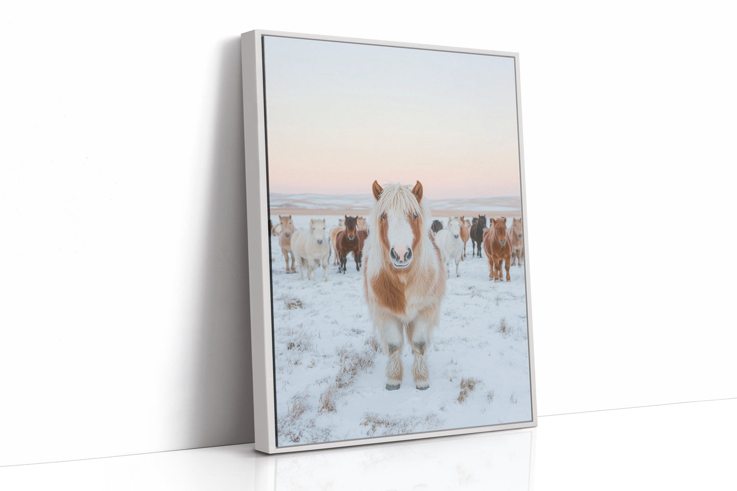 Fluffy Pony in Winter Herd
