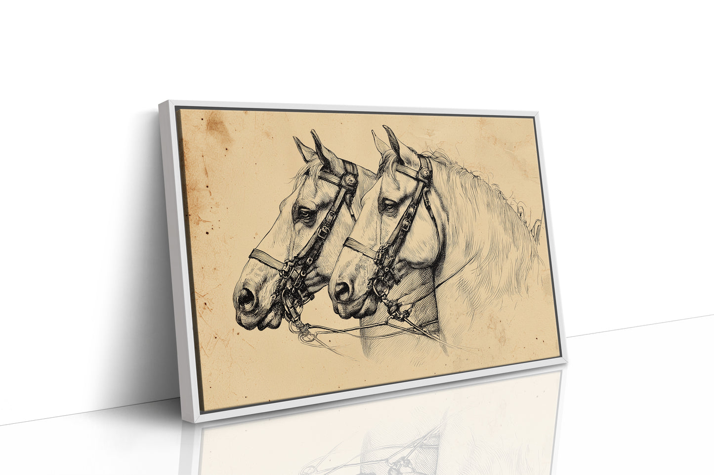 Draft Horses Share Ancient Wisdom