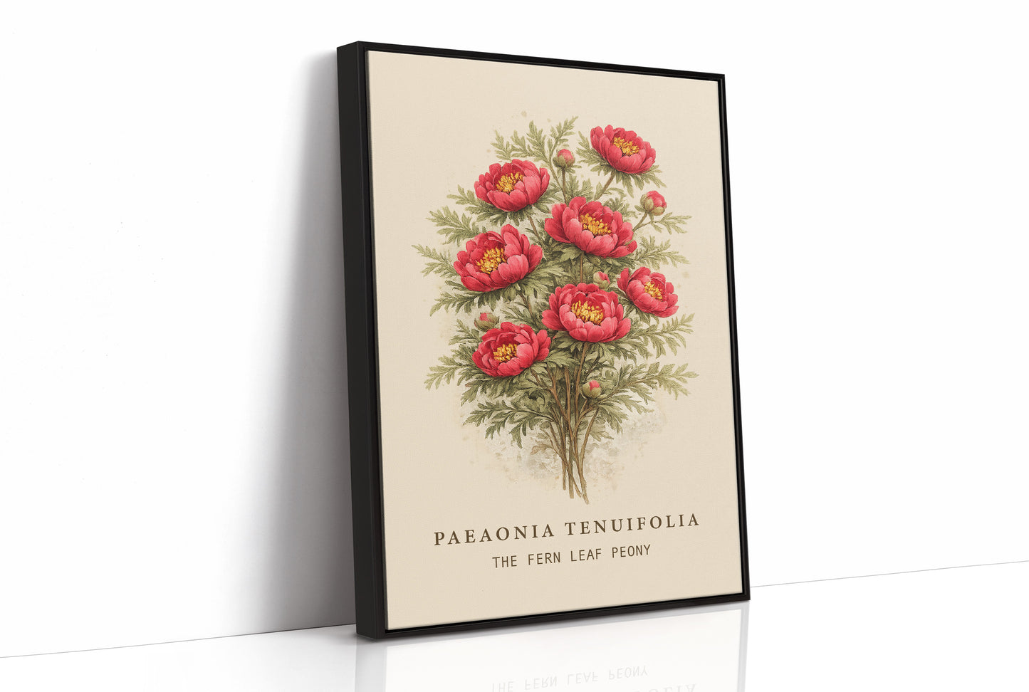 Crimson Nobility: Botanical Heritage Preserved