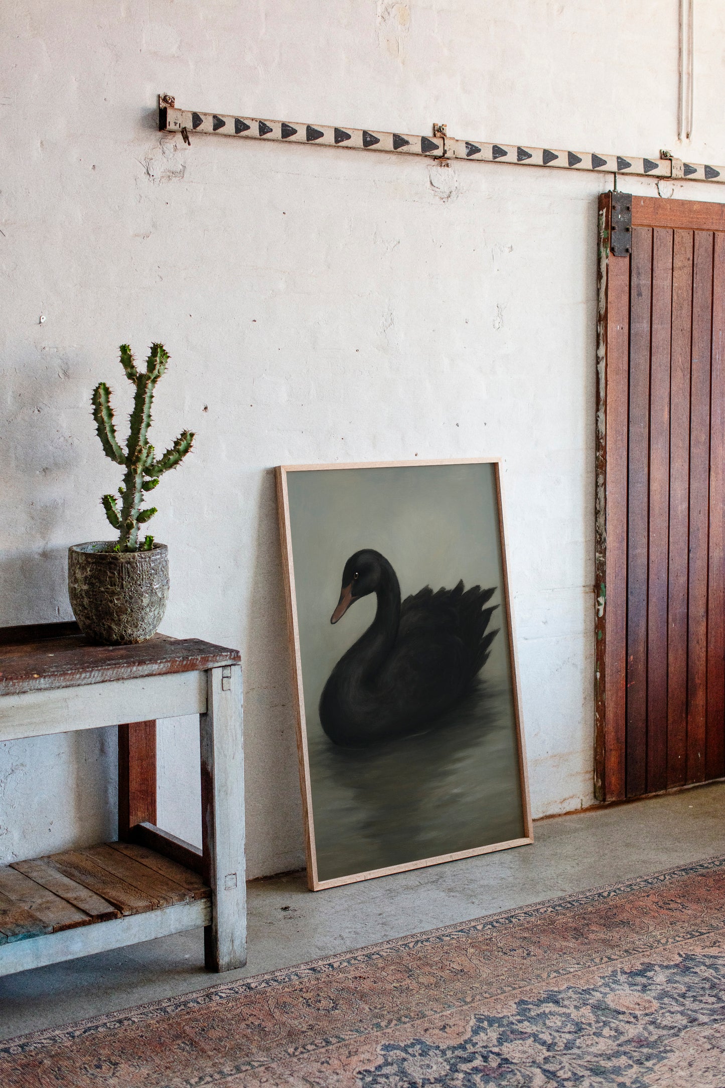 Black Swan on Still Water