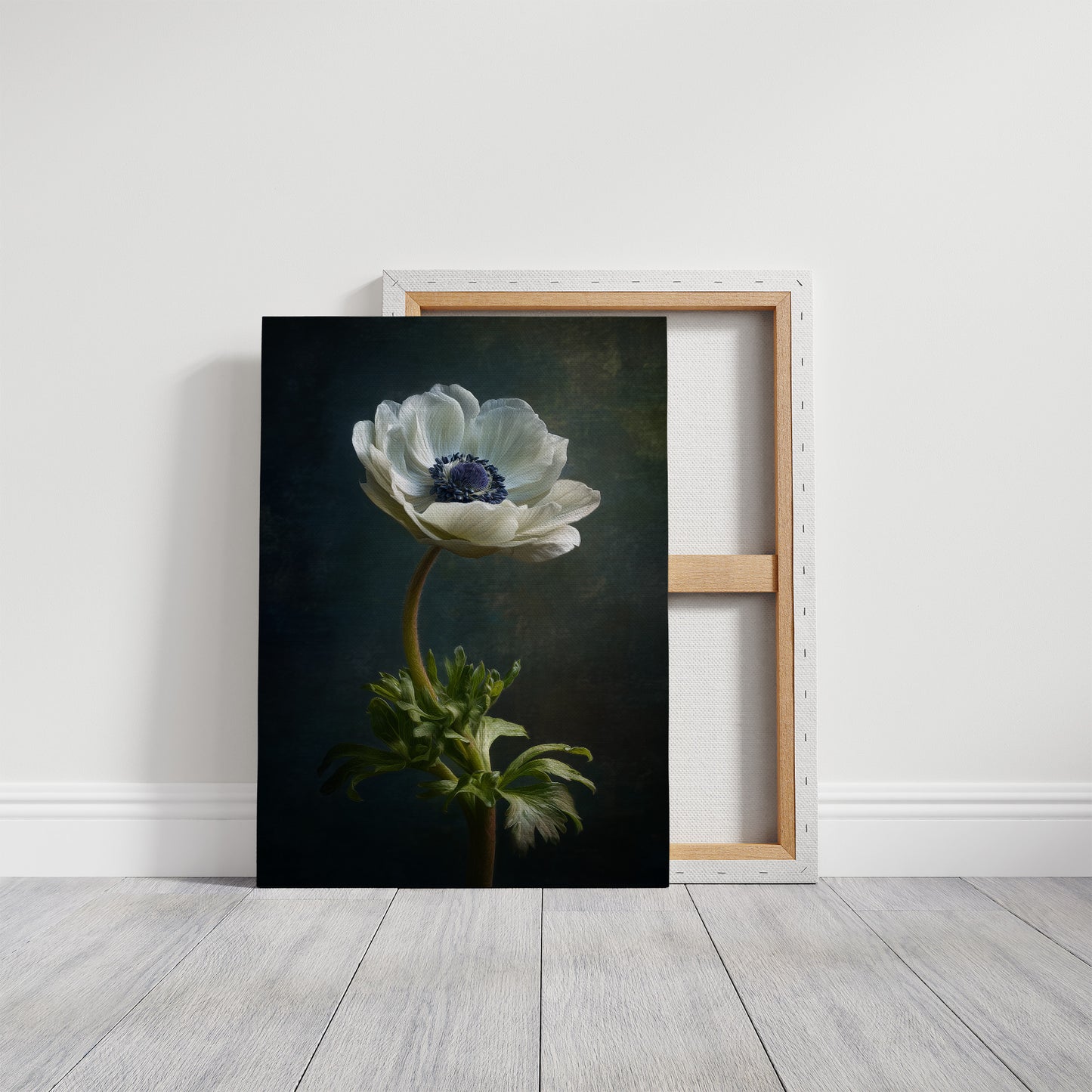 Lone Anemone Against Dark Depths