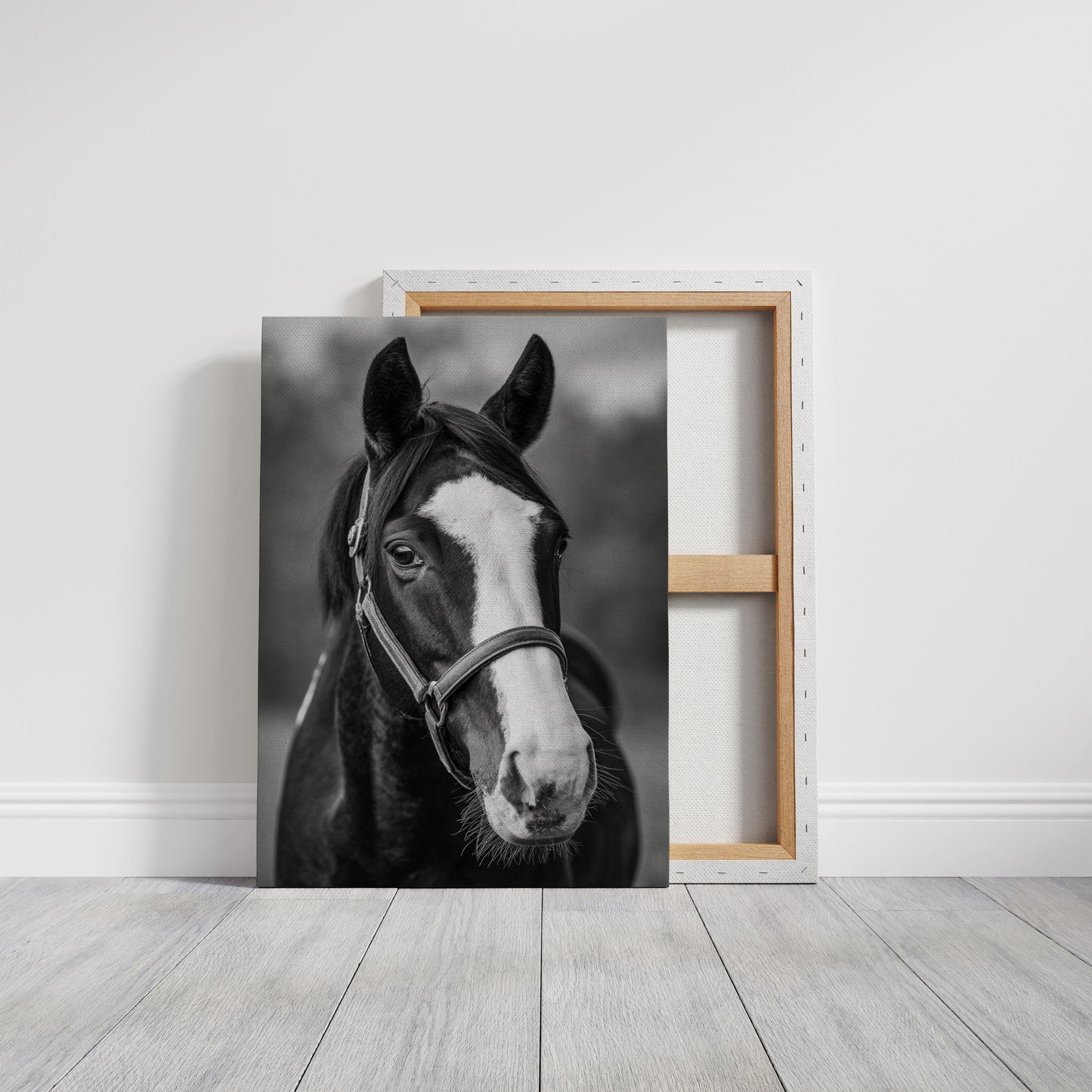 Gentle Spirit