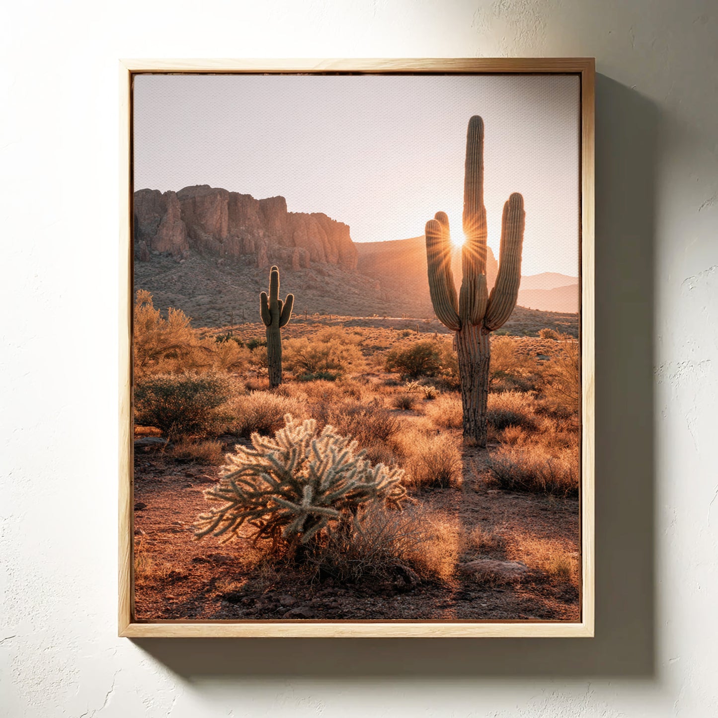 Sunlit Giants in Arid Embrace