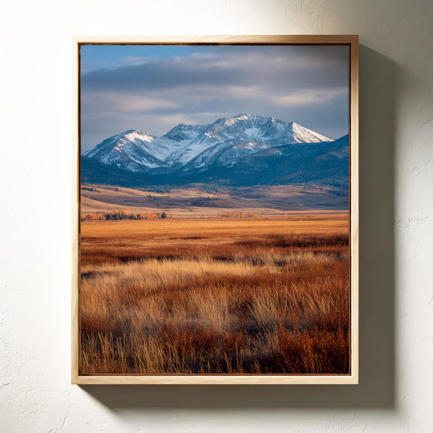 Golden Grasses Beneath Snowy Peaks