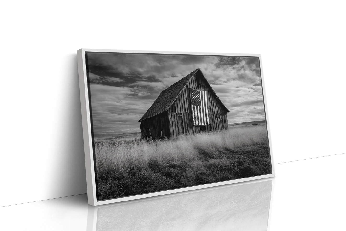 Prairie Stars Remember Their Home