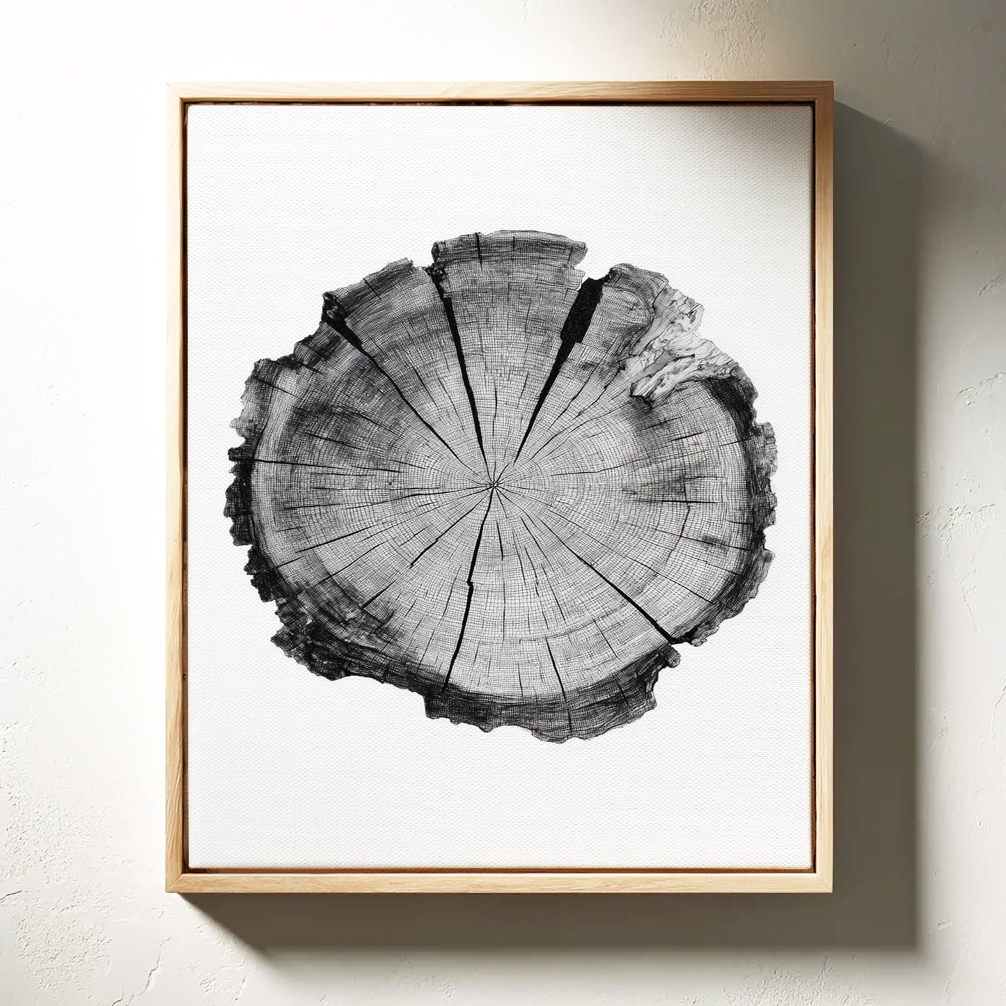 Textured Tree Ring Study