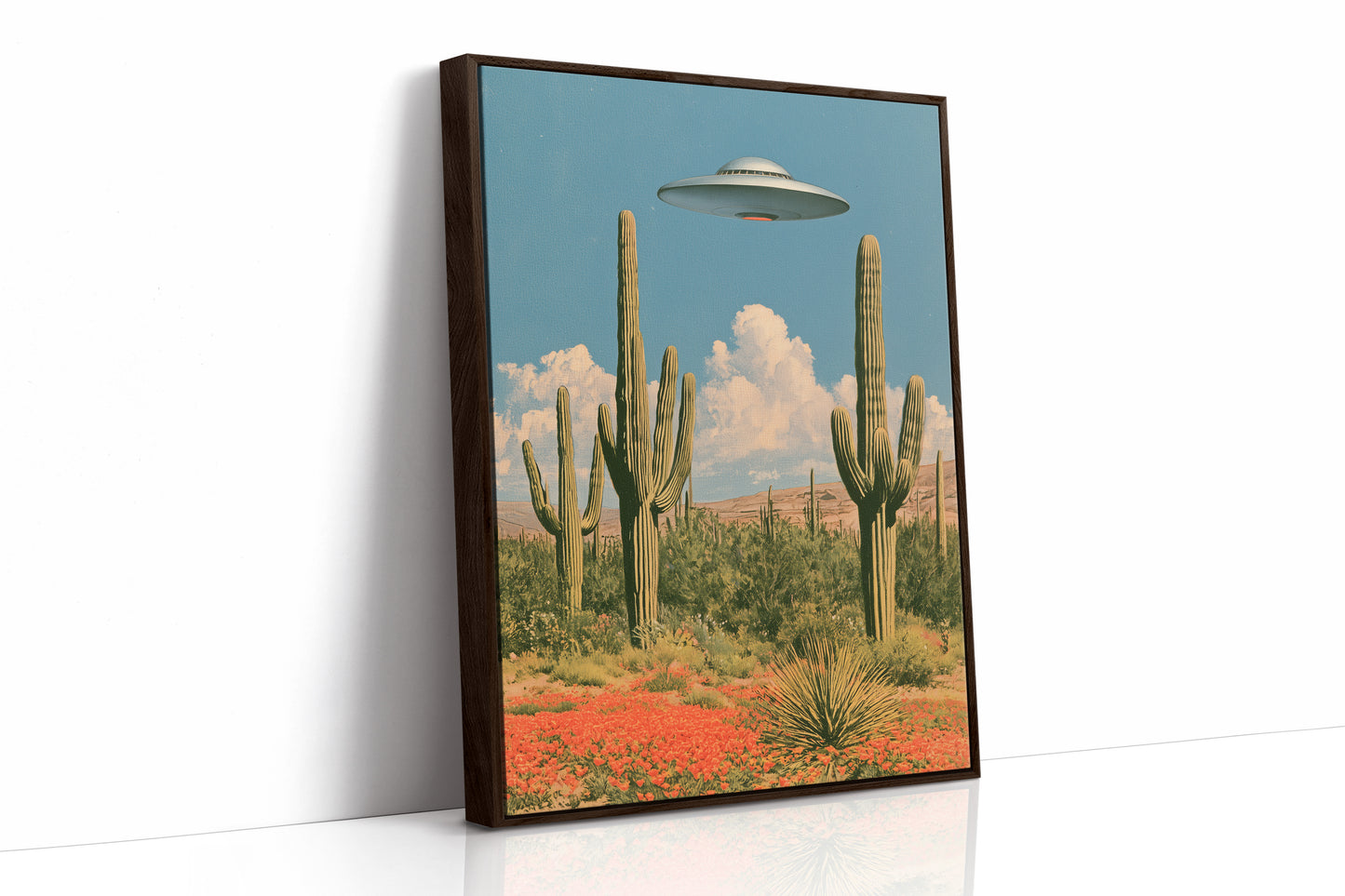 Saguaros and Saucers