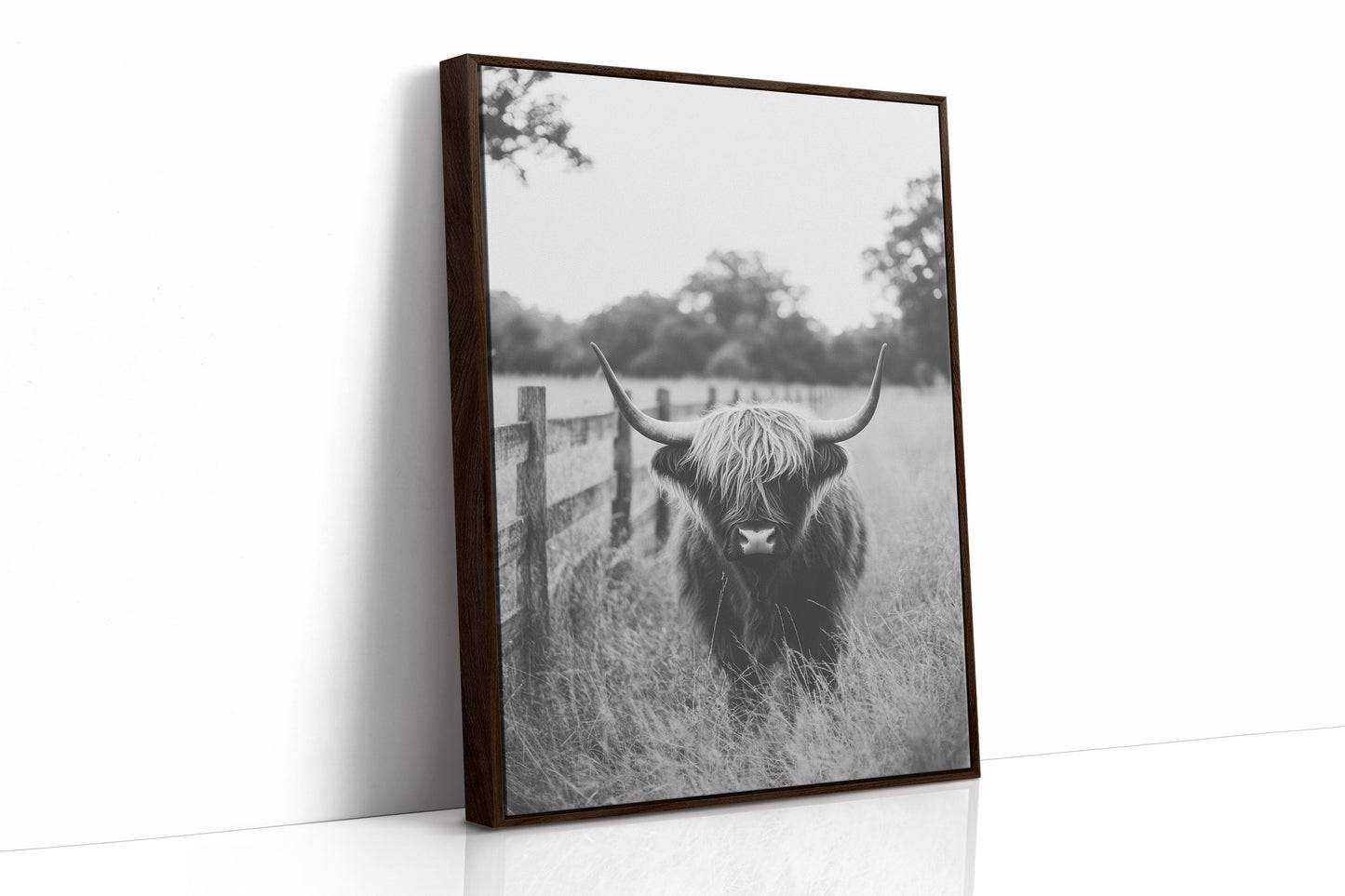 Highland Gaze in Black and White