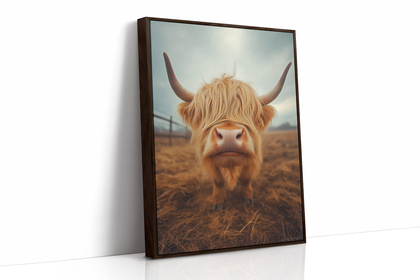 Golden Fluff and Attitude Highland Cow