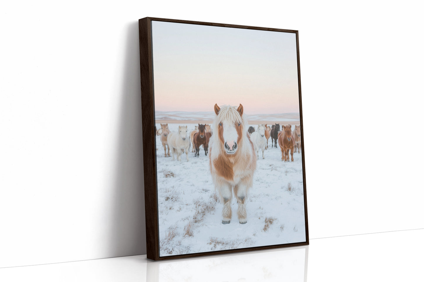 Fluffy Pony in Winter Herd