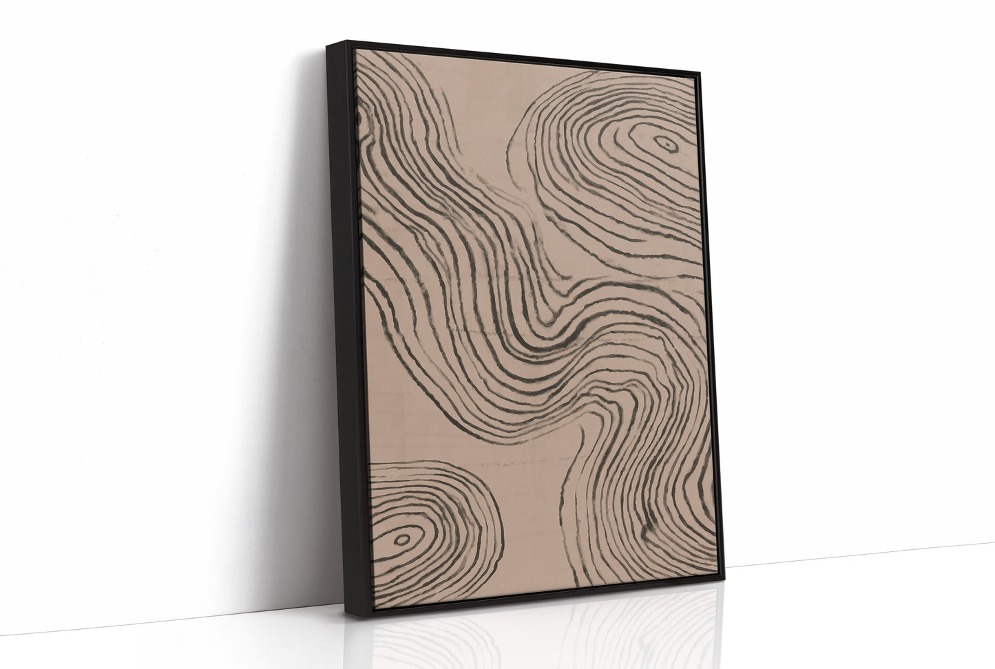 Time Rings Tell Nature's Story