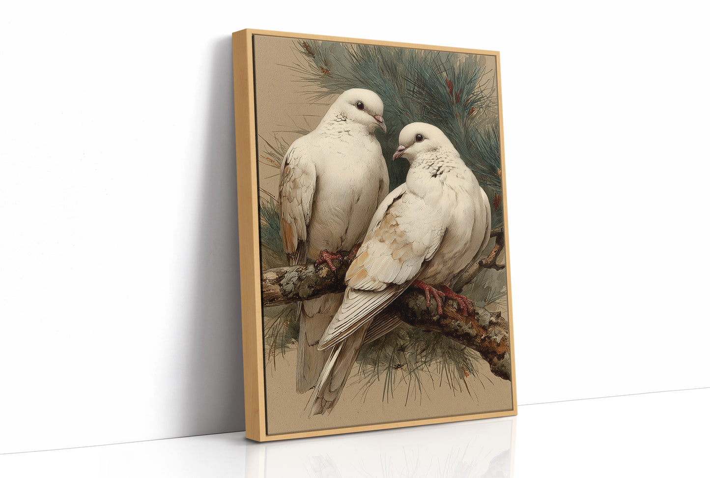 Two White Doves at Rest