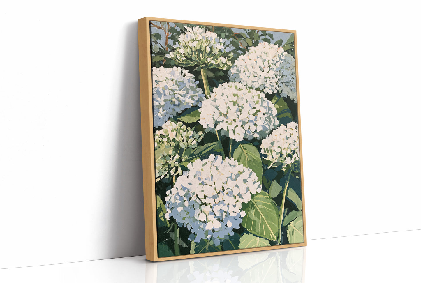 Hydrangea Garden In Full Bloom