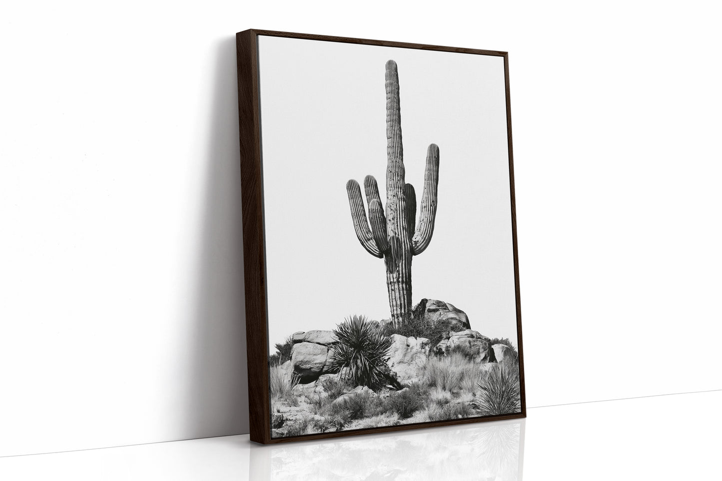 Lone Saguaro Standing Tall