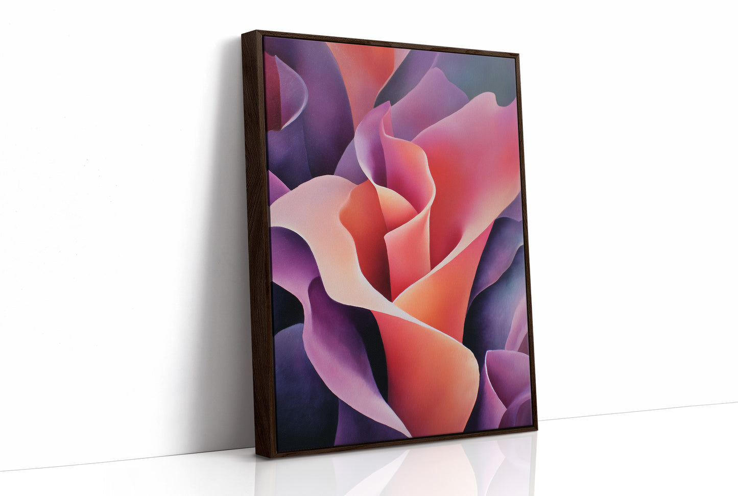 Petals in Velvet Light