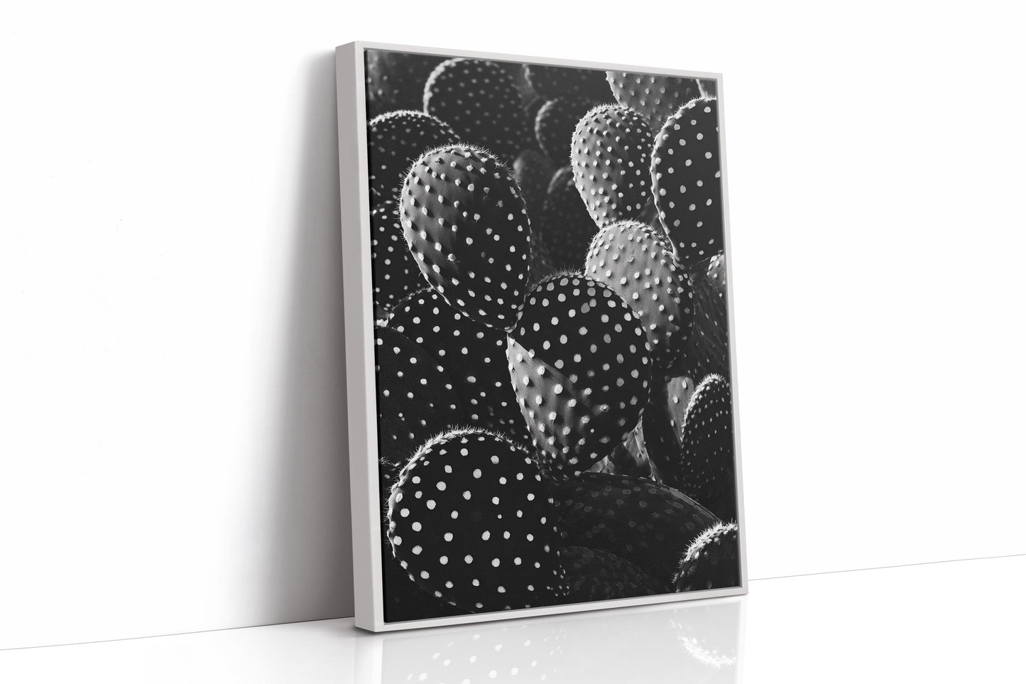 Desert Geometry in Monochrome