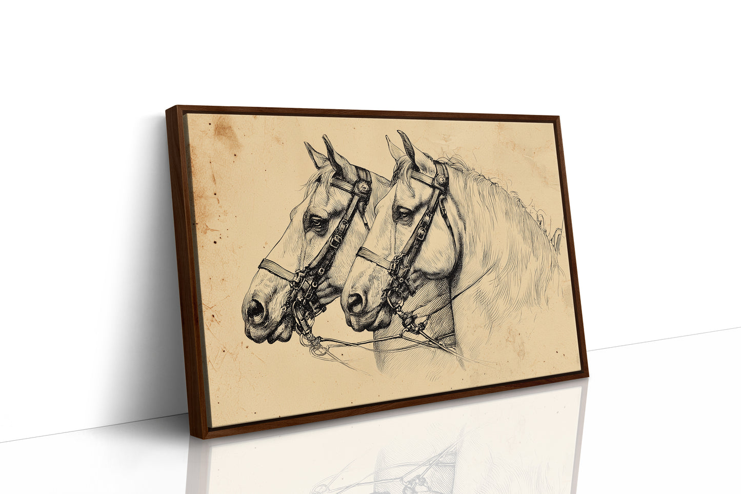 Draft Horses Share Ancient Wisdom