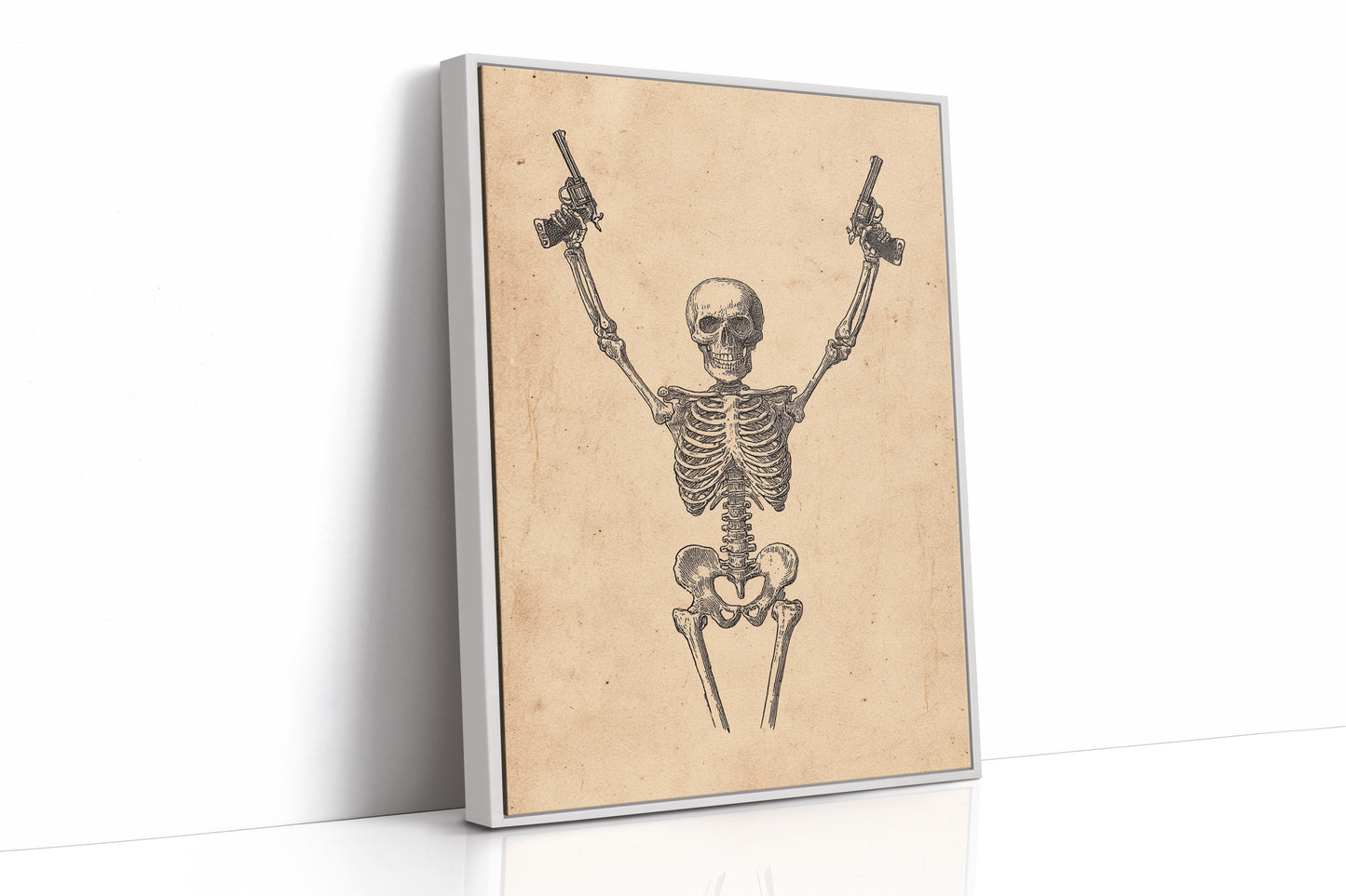 Outlaw Anatomy