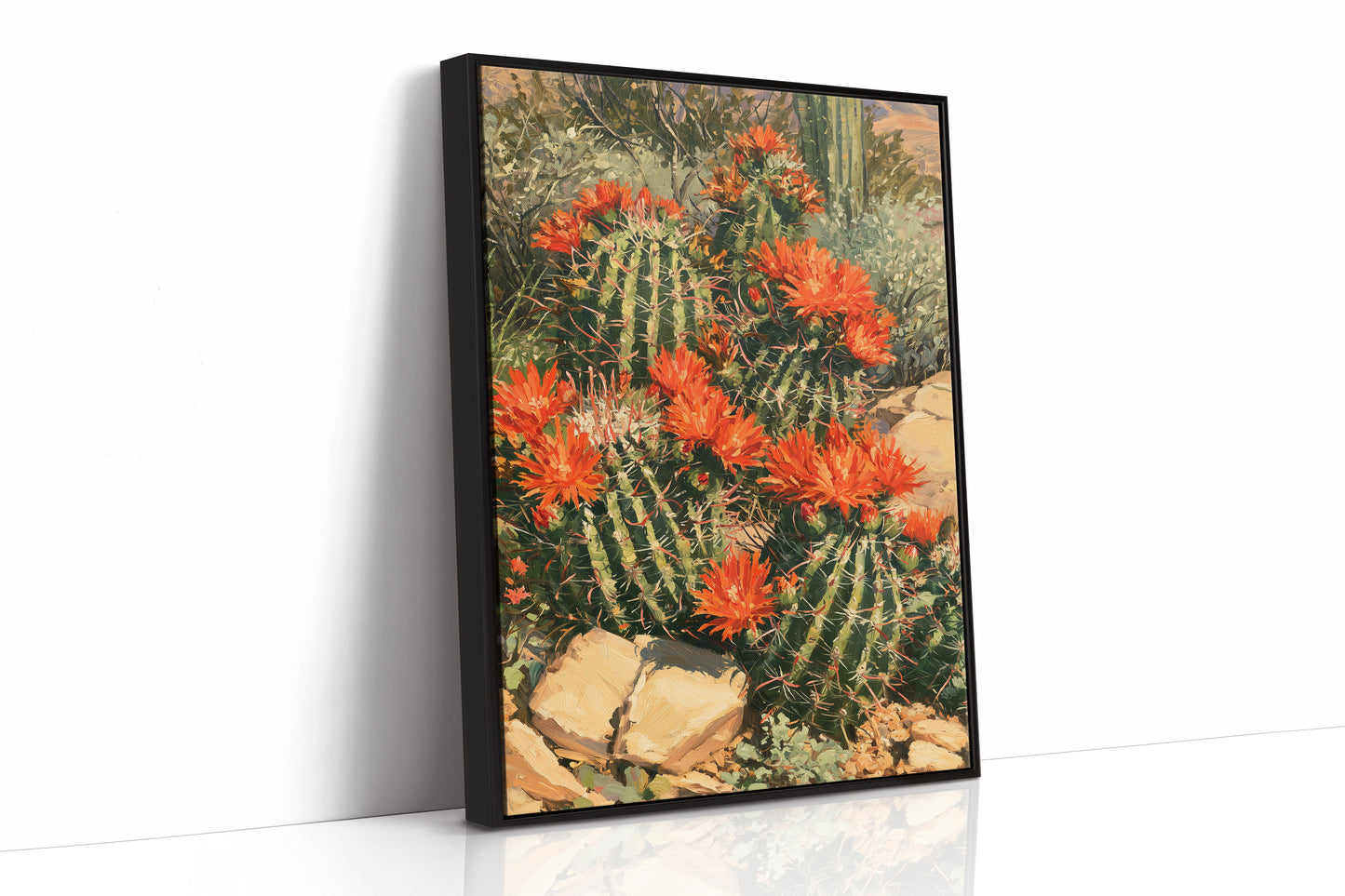 Desert Cactus in Full Bloom