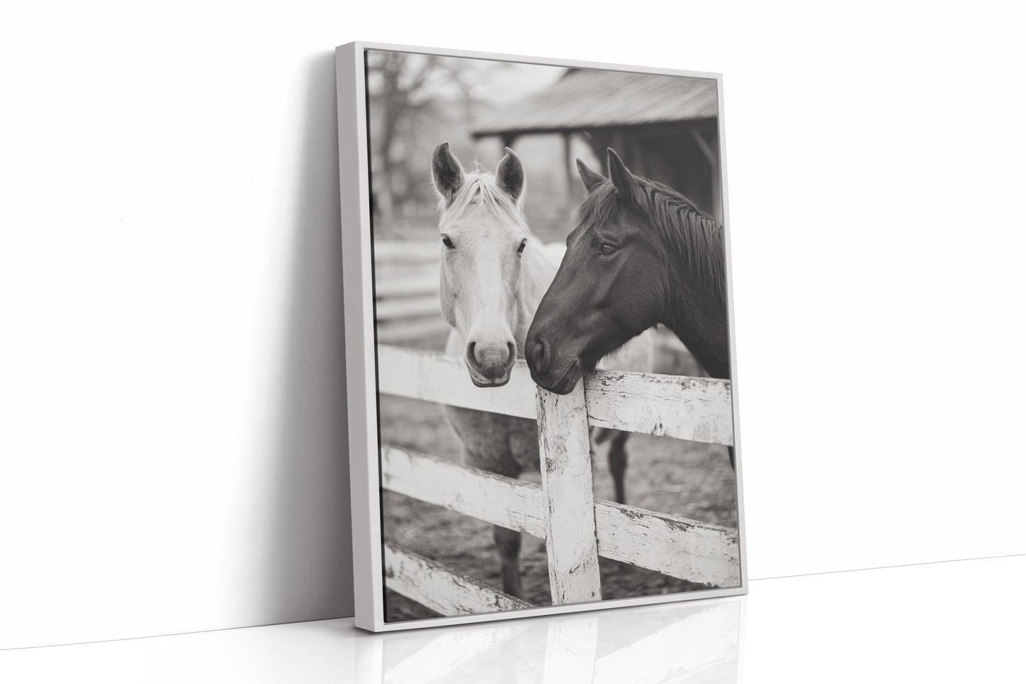 Old Friends at the Fence