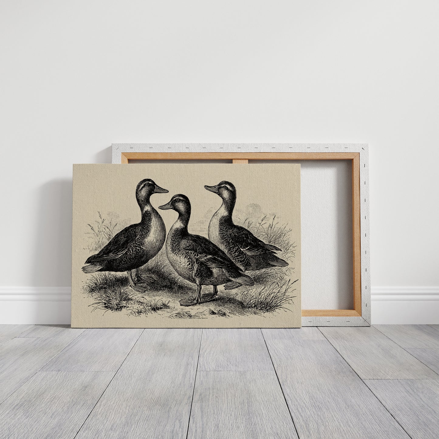 Gathering of Gentle Companions