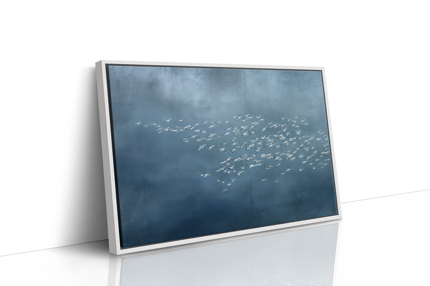 White Wings Across Blue Silence