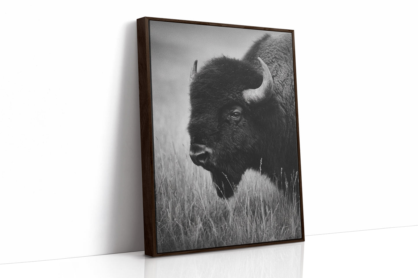 Eyes of the Prairie