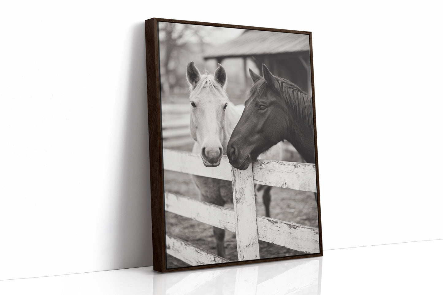 Old Friends at the Fence