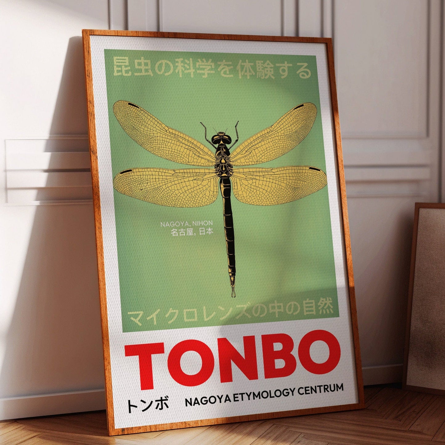 Tonbo – The Science of Dragonflies