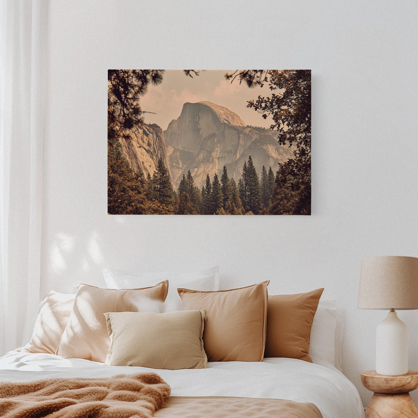 Ancient Granite Catches Golden Light