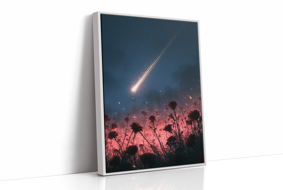 Shooting Star Over Rose Field