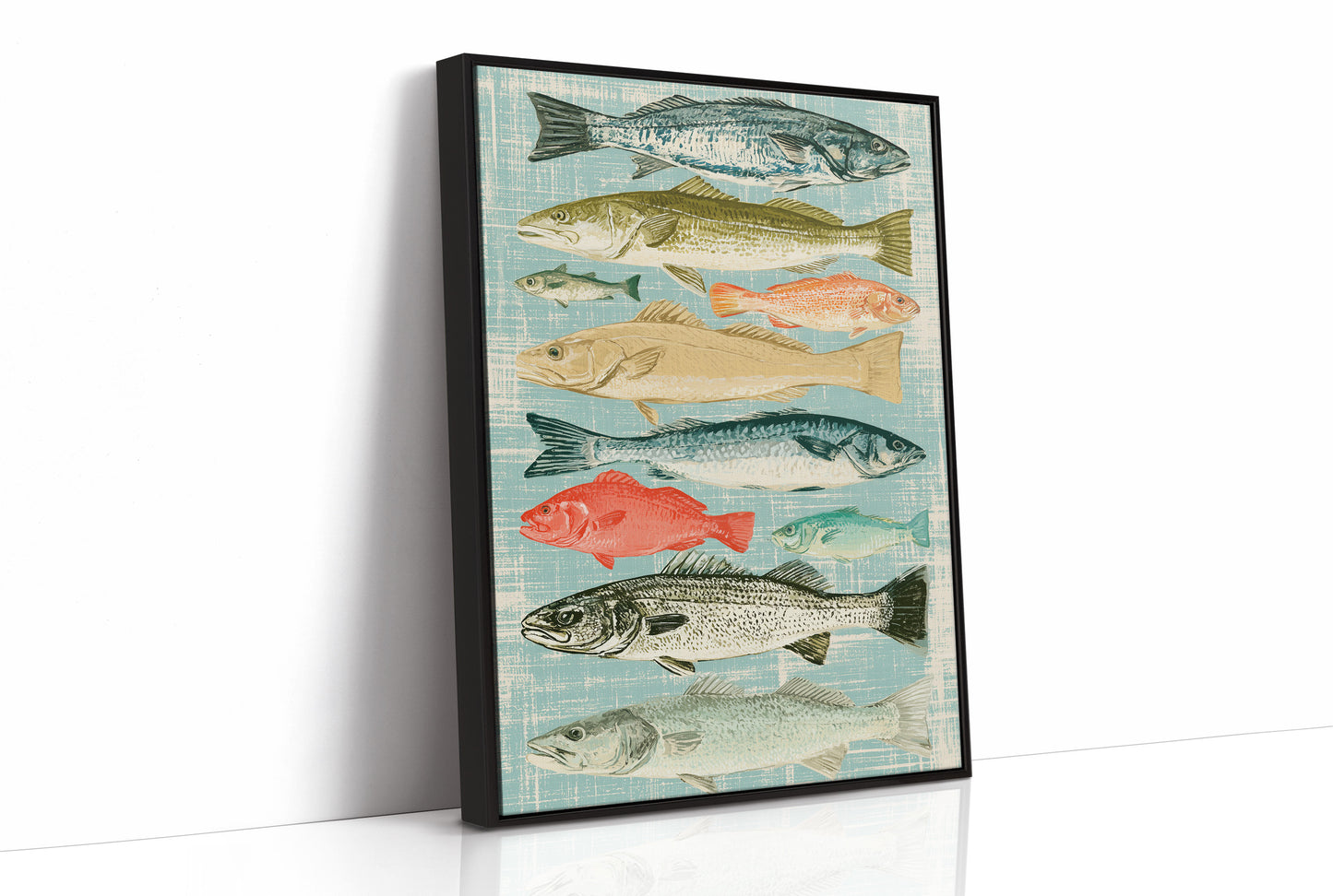Catch of the Day: A Vintage Fish Chart