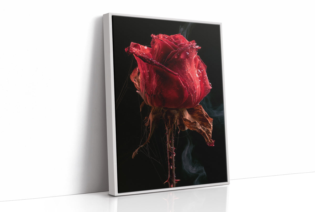 Beautiful Decay, One Red Rose