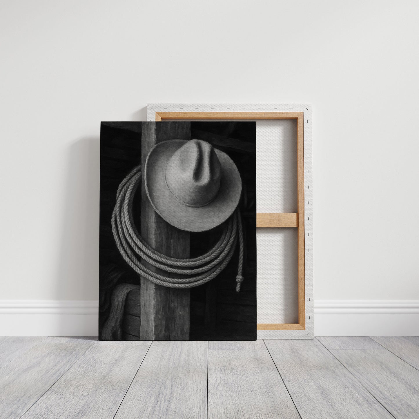 Cowboy Hat and Lasso