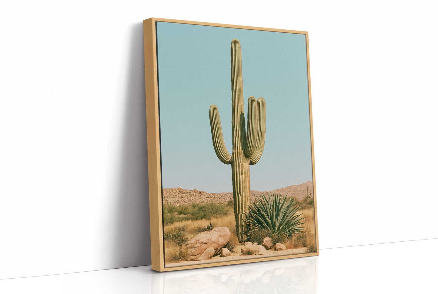 Saguaro Under Turquoise Sky