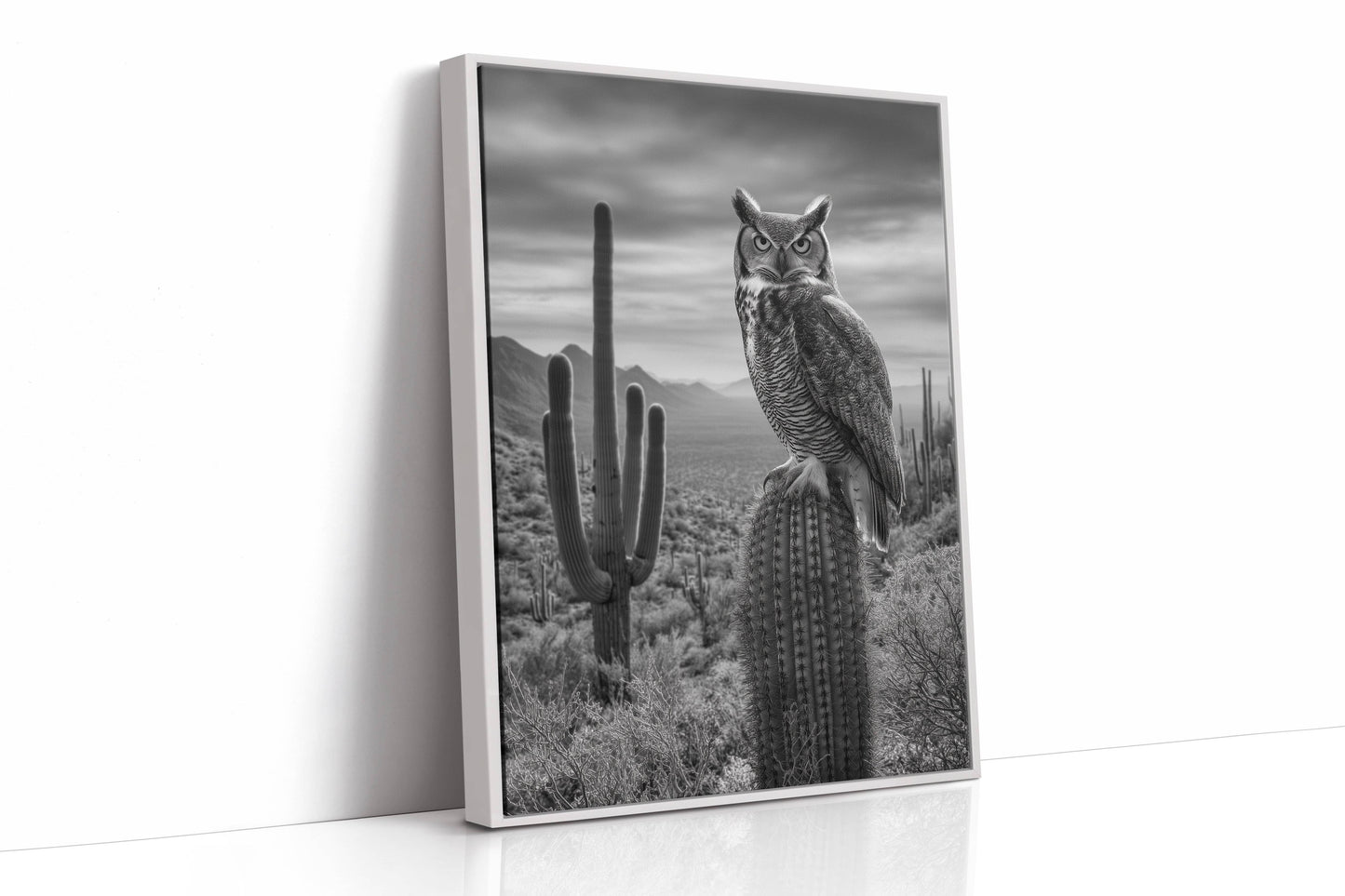 Night Watch Over Saguaro Plains