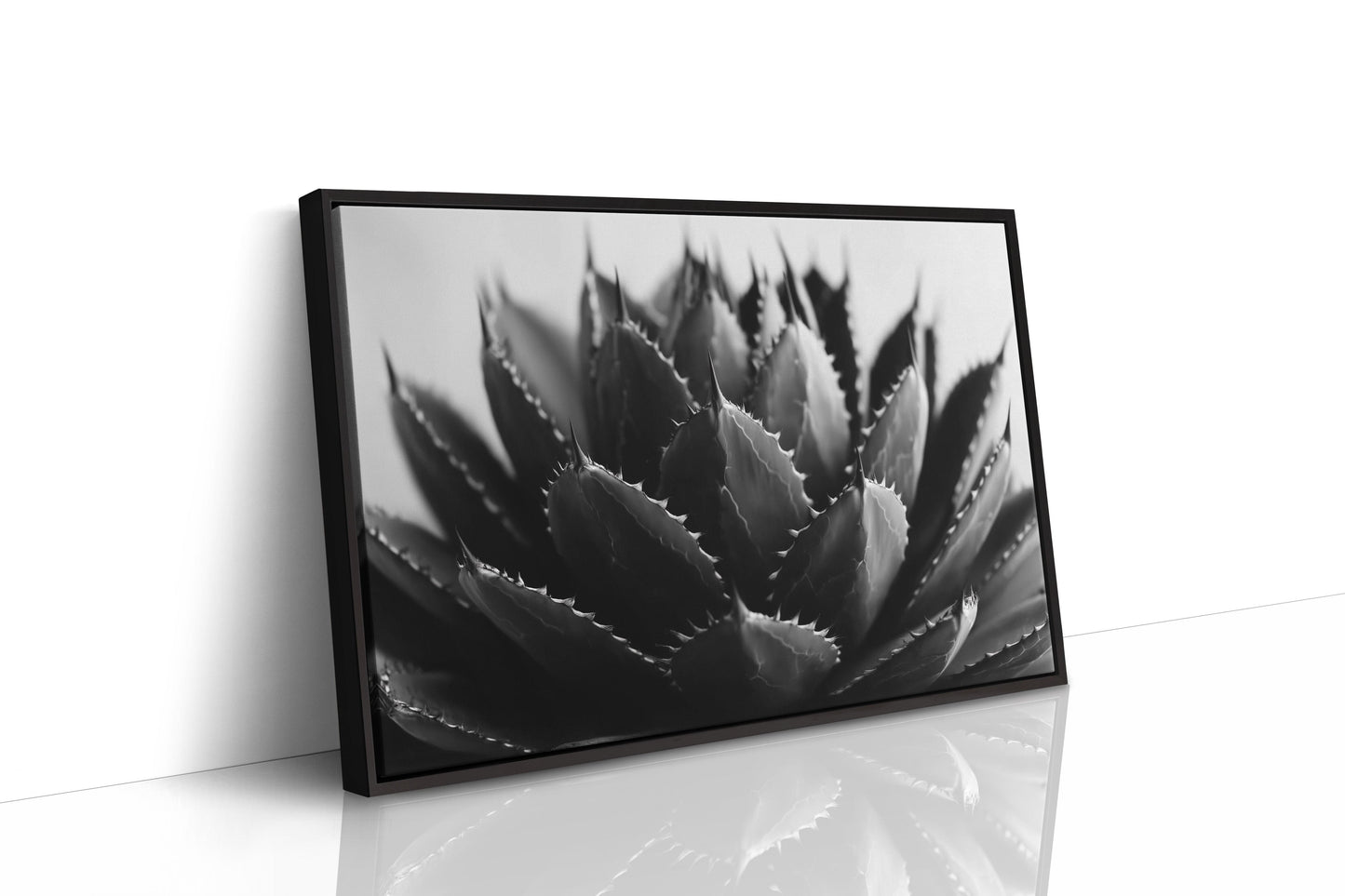 Desert Spines Dance In Moonlight