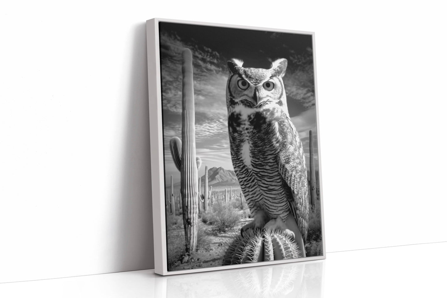 Saguaro Nights Watch The Owl