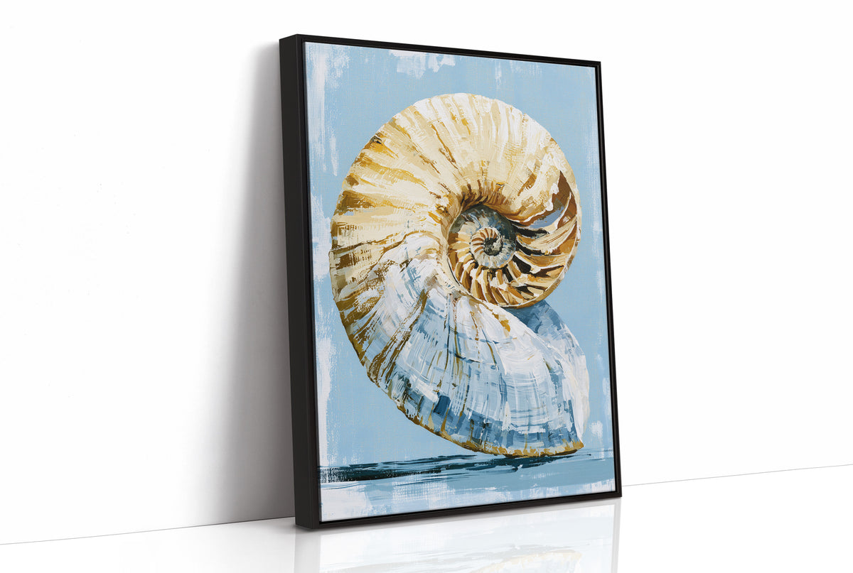 Golden Spiral, Nautilus Study