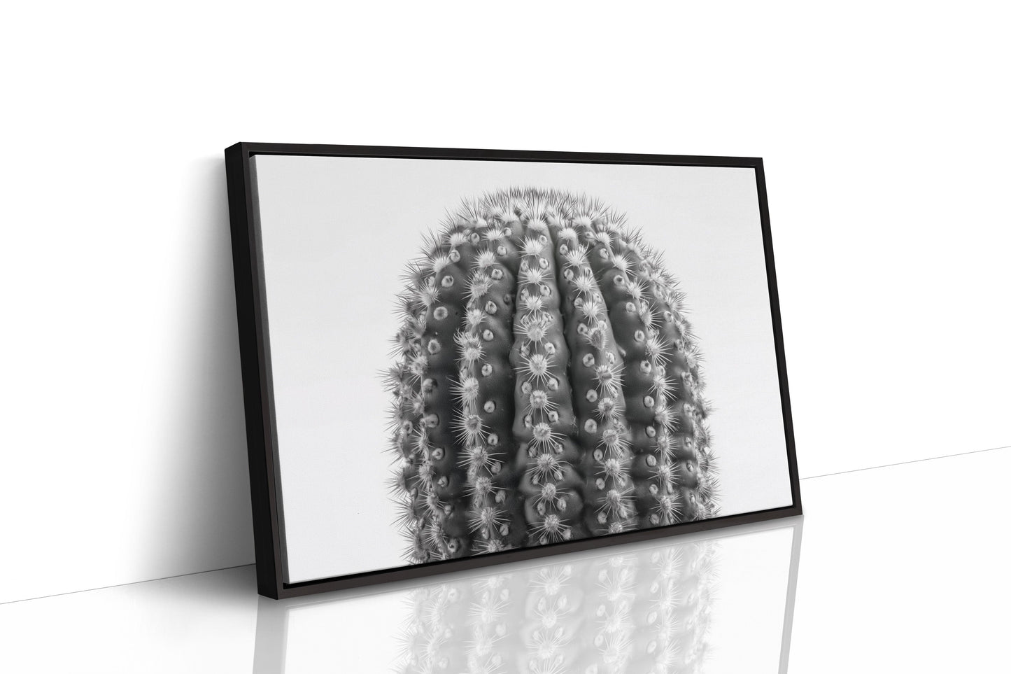 Spines Dance In Silver Light