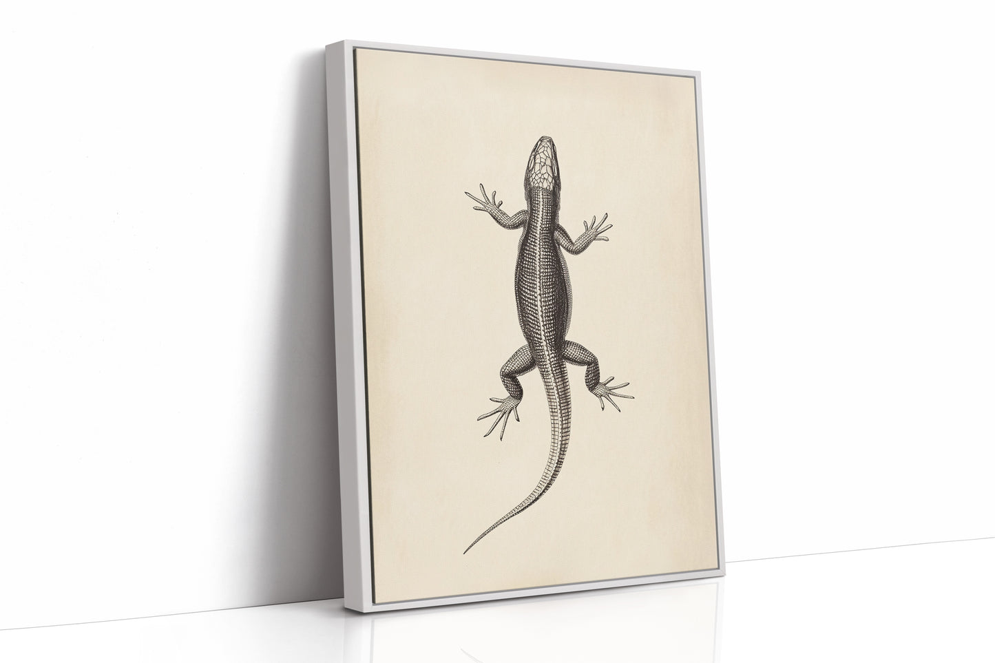 White Framed Canvas image 1